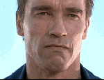 3652.gif
