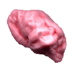 Chicle 2.gif