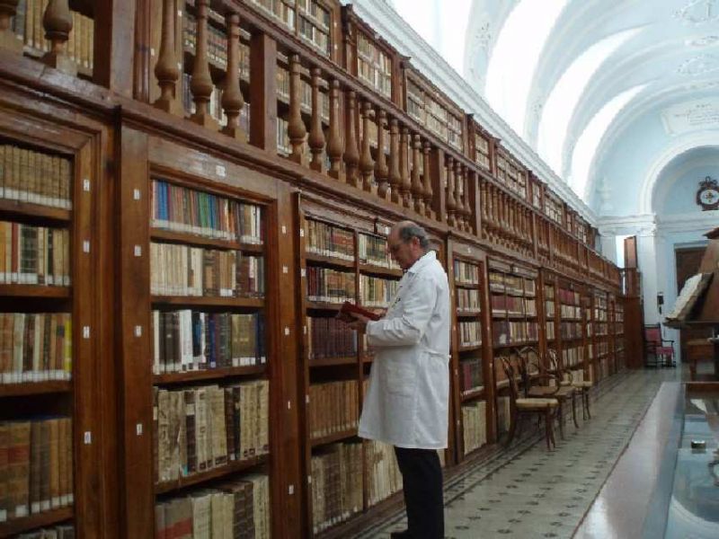 Archivo:Bibliotecario.jpg