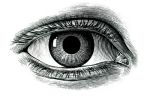 Eye.jpg