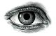 Eye.jpg