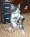 Gatito.gif