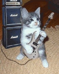 Gatito.gif