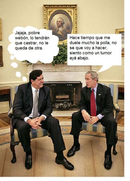Archivo:Alanybush.jpg