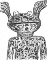 Wachimingo