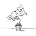 Si, una planta come conejos !