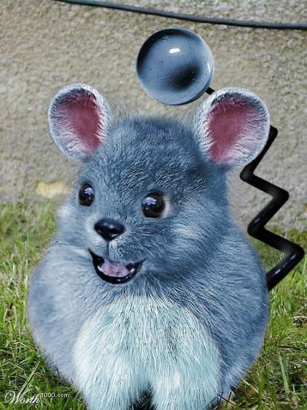 Archivo:Azumarill.jpg