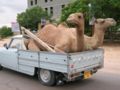 Peugeot camel del París-Colmenar Viejo