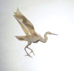 Grulla.jpg