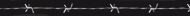 Alambre de puas2.png