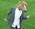 Homo equus cefaloides