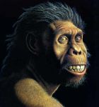 Homo Sapiens.jpg