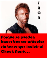 Fundación Anti Chuck Norris.