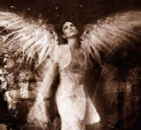 Angel.png