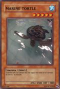 Carta Marine Turtle.jpg
