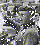 Francogim.gif