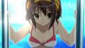 Porque Haruhi sabe lo que el público quiere.