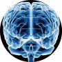 Cerebro.jpg
