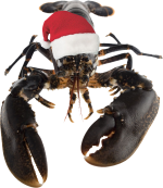 Bogavante.png