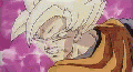 Bush3.gif