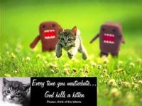 Muestra de Domo-Kun