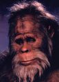 Bigfoot Pepe algo somnoliento después de una docena de cervezas